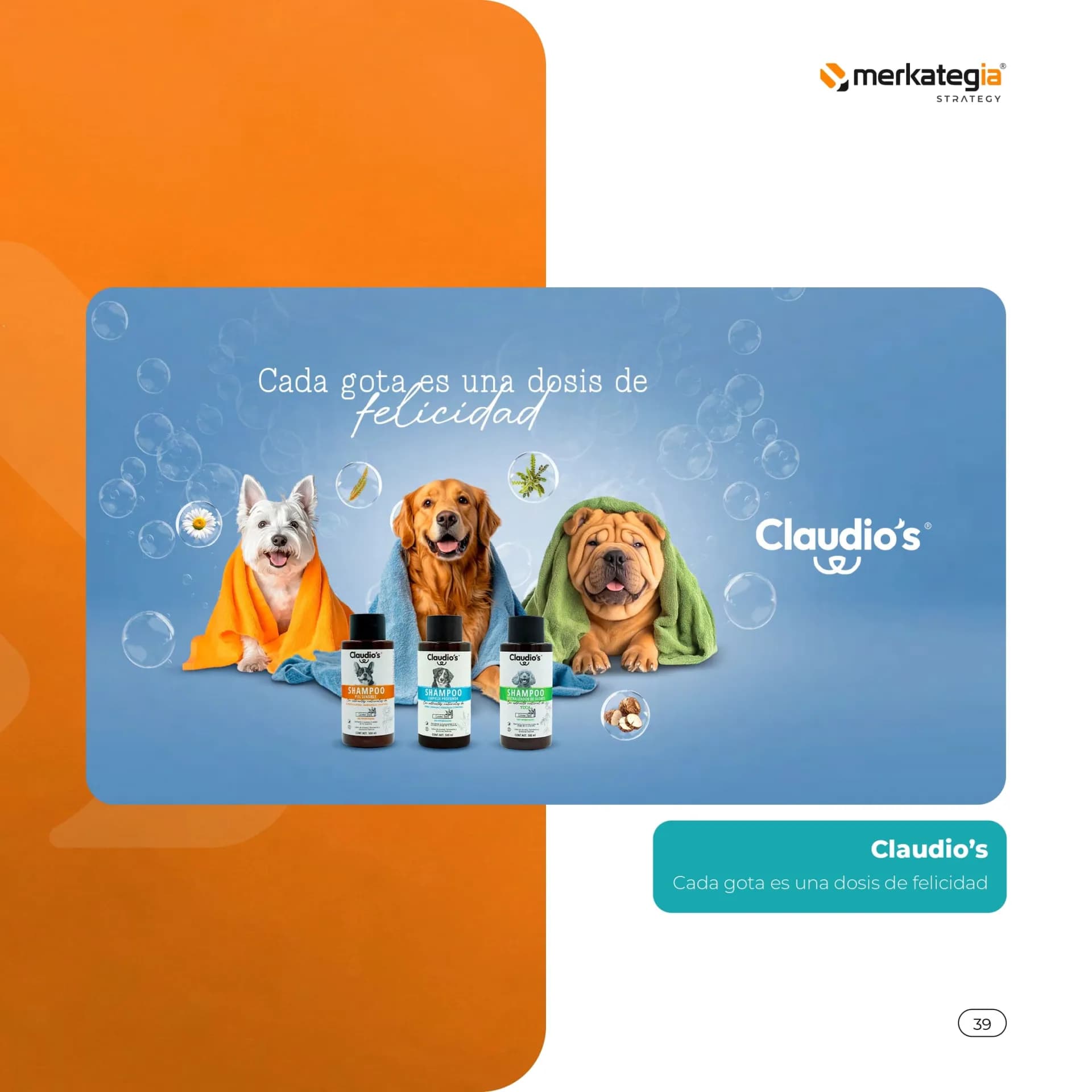 Página de currículum 39