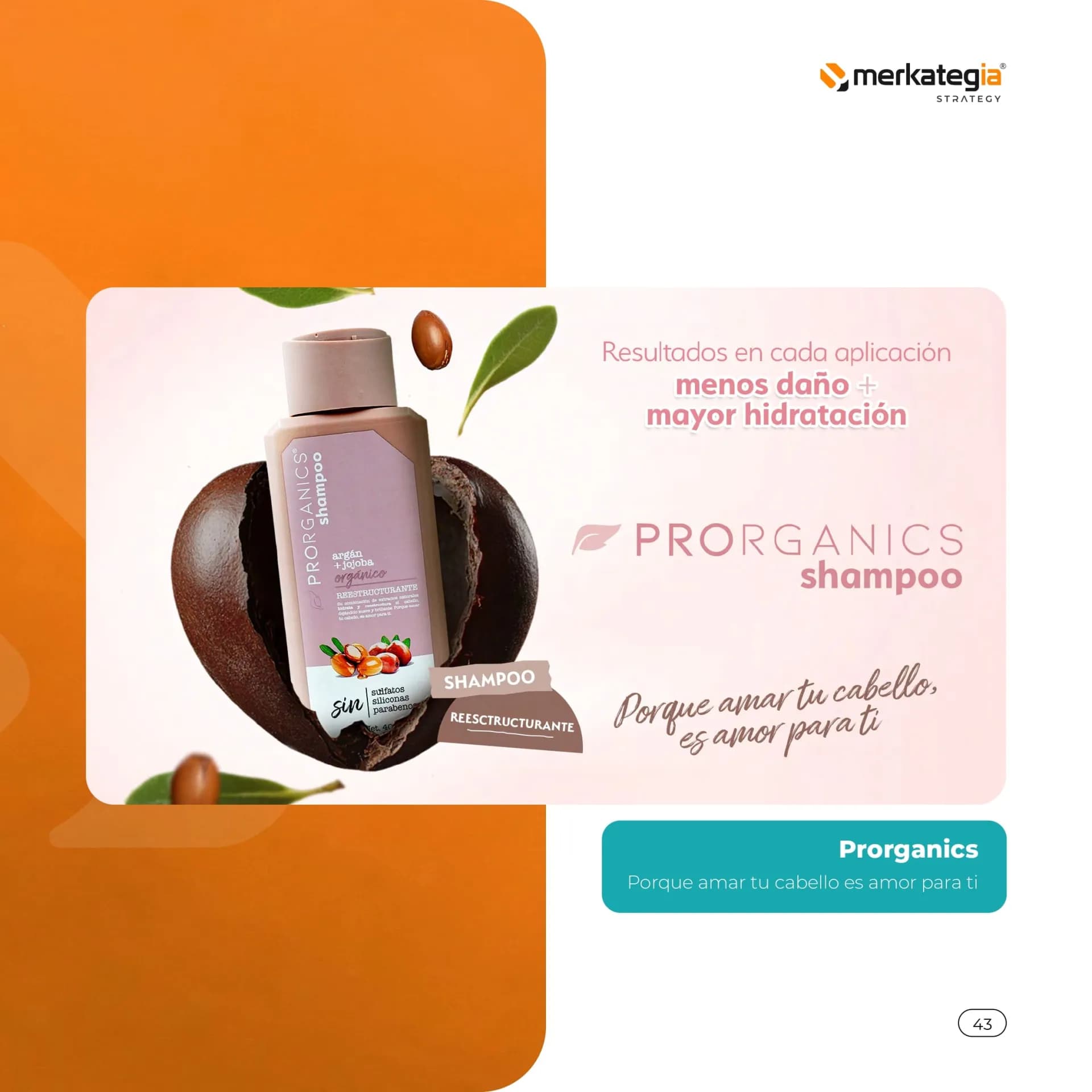 Página de currículum 43