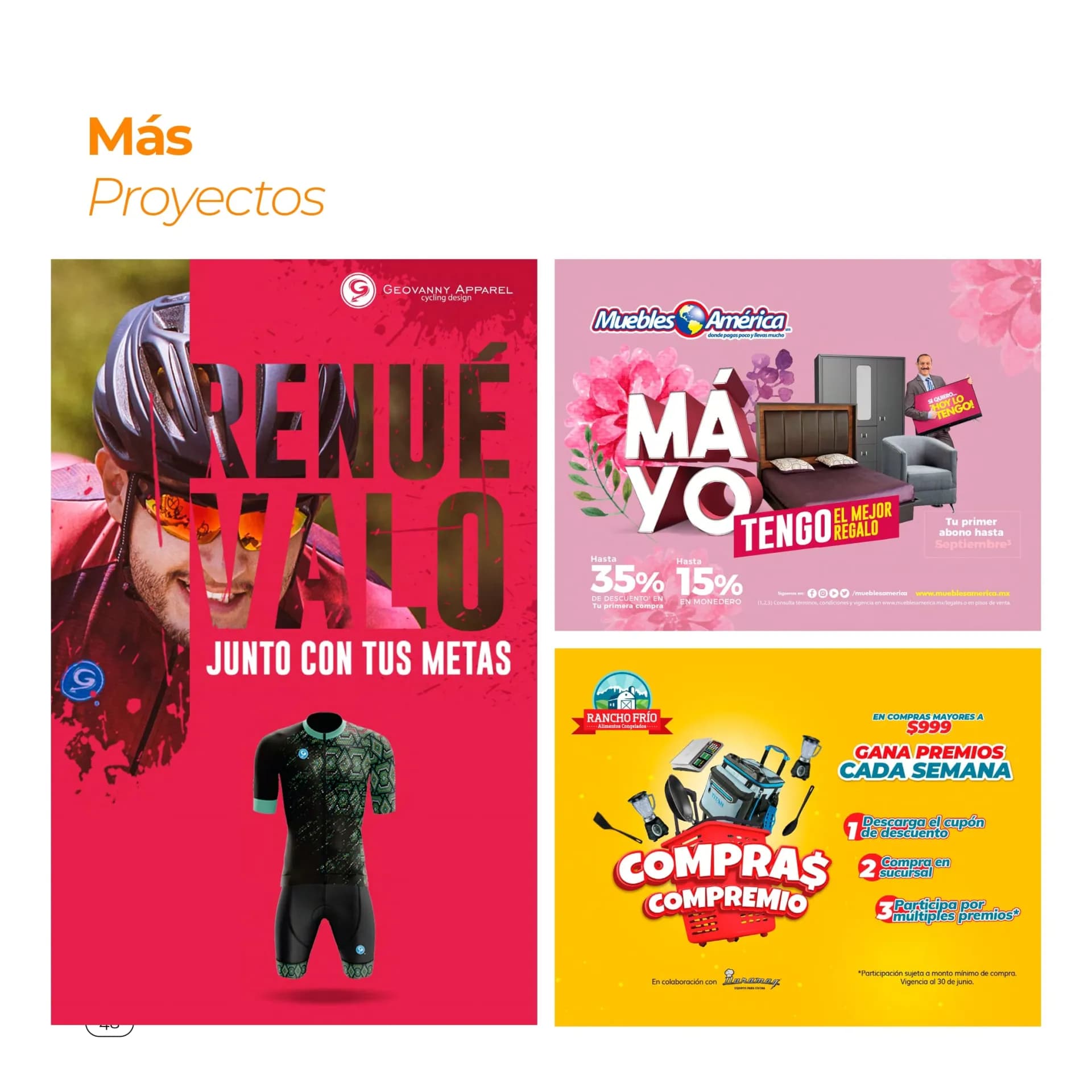 Página de currículum 48