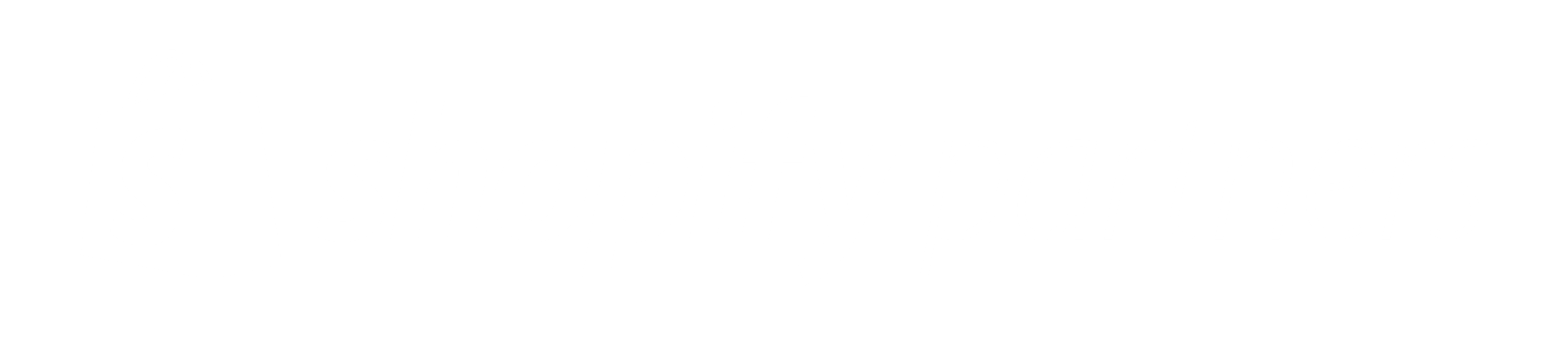 Shopify Partners